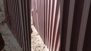 едем точно парк чепек