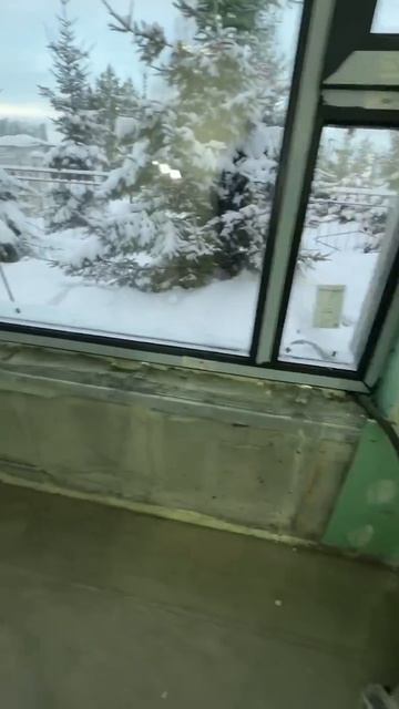 Строительство здания с заливкой стен пенобетоном