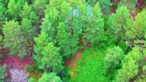 И не надо чудо-Рая