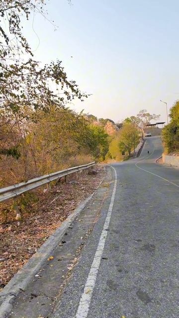 Гора обезьян