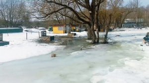 Обзор водоема от 27.03.26