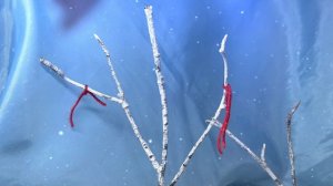 Буханец Владислав. Вороний день