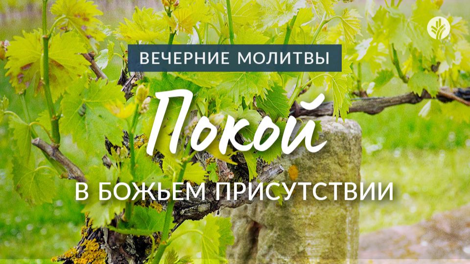 ПОКОЙ В БОЖЬЕМ ПРИСУТСТВИИ | Вечерние размышления