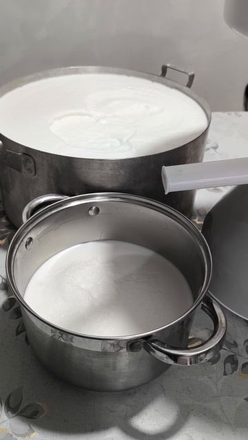 Переработка молока #молоко #творог #масло #козьяпродукцыя