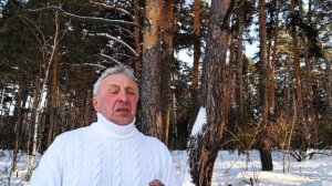 М. Цветаева "Расстояние: версты, мили..."