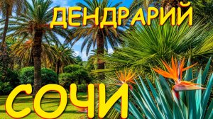 Дендрарий, Сочи сегодня, Сочи куда пойти, Сочи что посмотреть, Сочи обзор, Природа Сочи, Кавказ