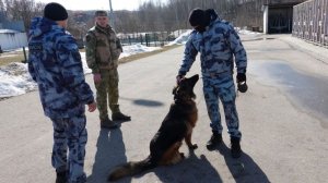 Новые вольеры построены для кинологических подразделений Росгвардии