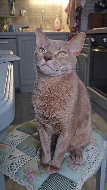 Хочу на вас накричать. но нельзя