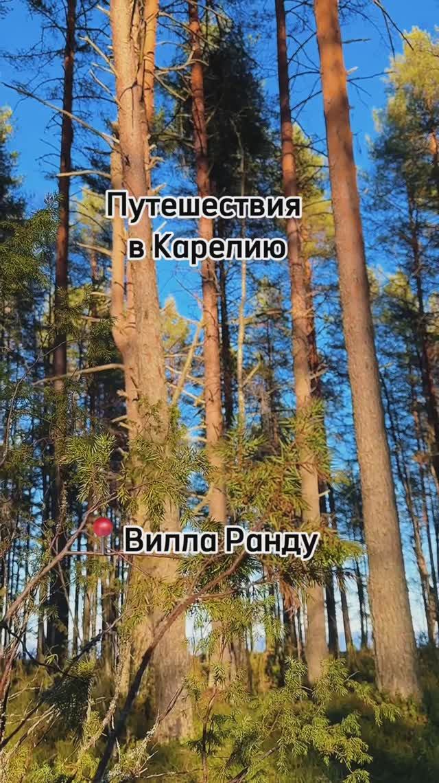 Весна в Карелии прекрасна! Вилла Ранду, отдых в домах на берегу озера 💙