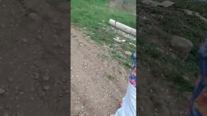 СУПЕР ПРИКЛЮЧЕНИЕ ЗАХОДИТЕ СЮДА !!!!