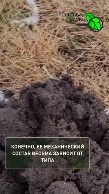 Это БЕСПЛАТНО! Всего 1 горсть в землю — и рассада жирненькая, толстенькая, урожайная!