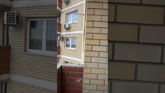 Краснодар ул.Командорская 3 к.1 смотреть онлайн