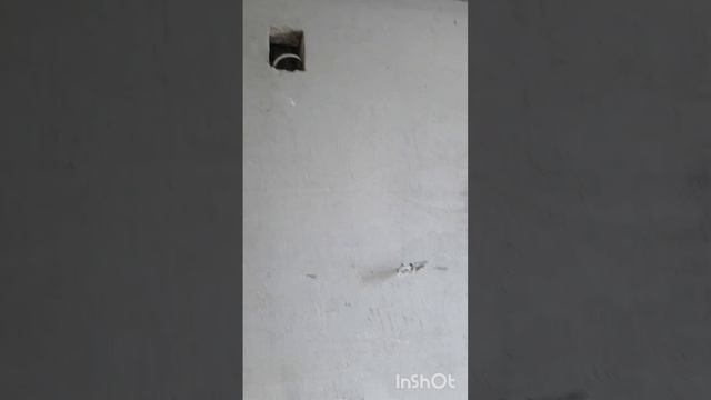 Дом у церкви смотреть онлайн