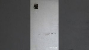 Дом у церкви