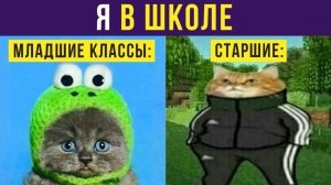 Котик подрос)) Приколы с котами