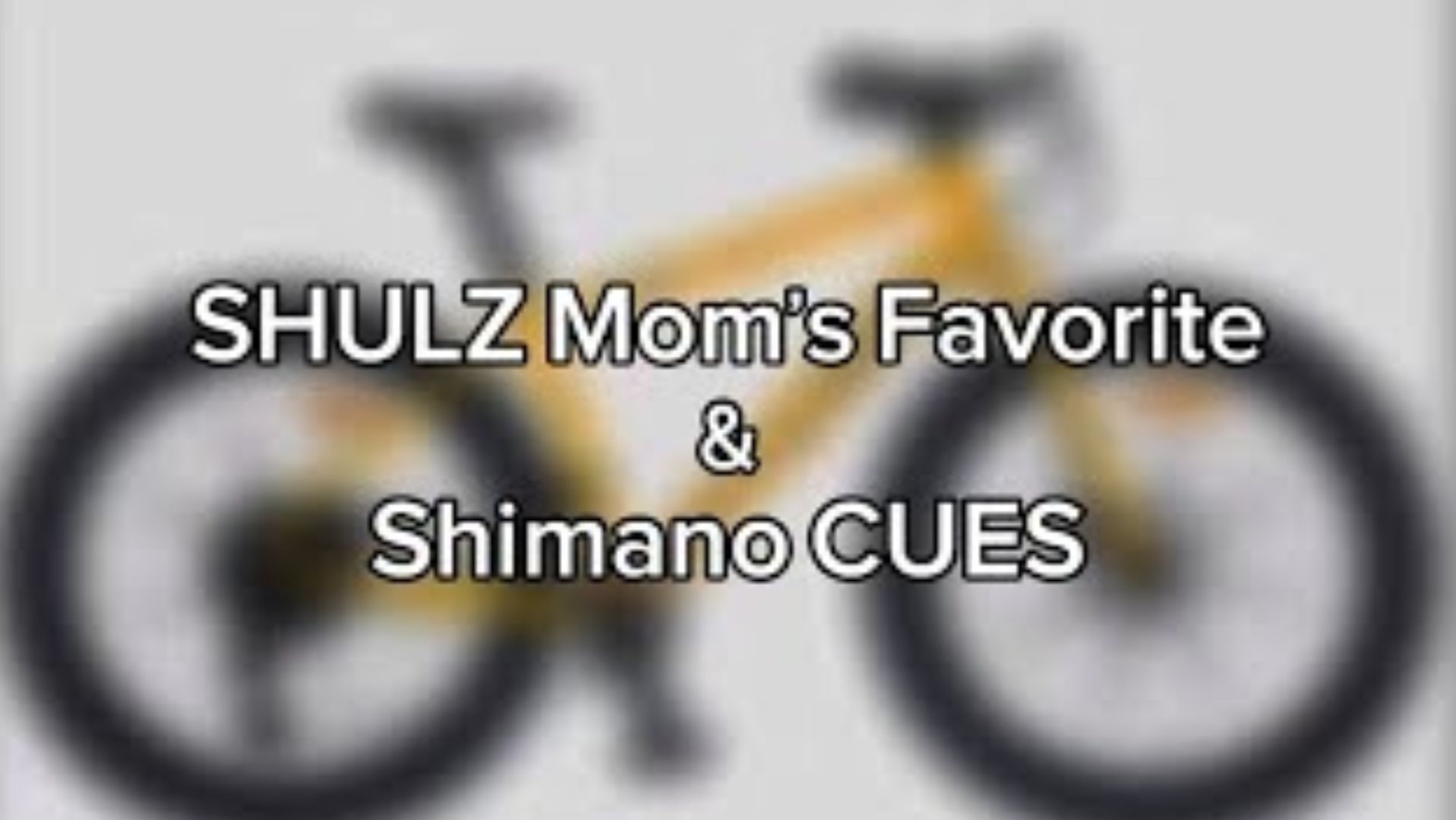 SHULZ Mom's Favorite And CUES