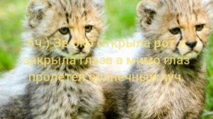 собираю людей на мини мап про Звездное око!!!!.)