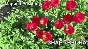 © Марина Романова "ЗНАЕТ ВЕСНА"