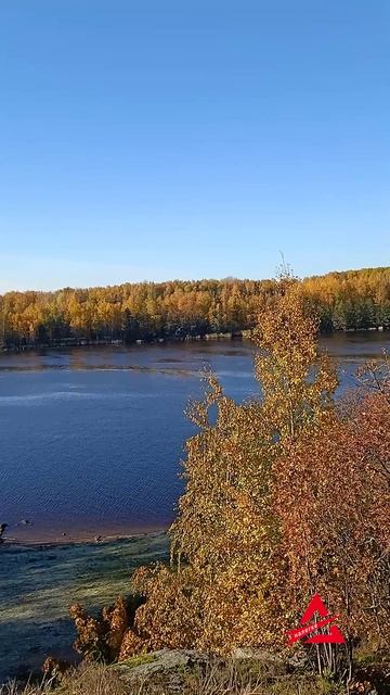 Живописная экотропа «Высоцкие Зори» у забытой крепости Тронгзунд.