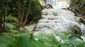 «Водопад в лесу: путь к спокойствию» «Расслабление у водопада»«Гармония воды и леса»«Водопад в лесу: