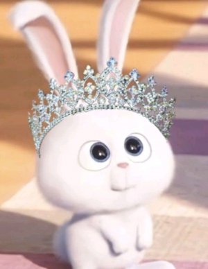 пробуем все что есть на кухне