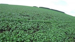 Влог от 10.06.2022