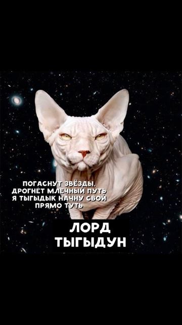 Самые опасные злодеи Вселенной) Приколы с котами