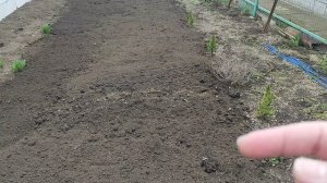 Начинаем сезон огородный на юге