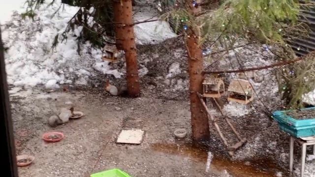 замечательная пятница