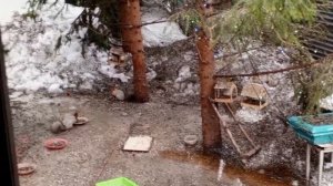 замечательная пятница