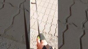 прогулка с собачкой Кеша🐕