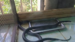 Отпуск 2025 часть 2 Китай Санья.mp4