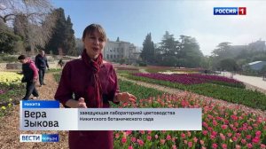 В Никитском ботаническом саду — парад тюльпанов