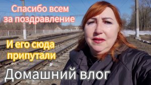 Приехала к родителям/ Мама хочет папа нет/ Рассада растет работа ждет/ Устала морально и физически