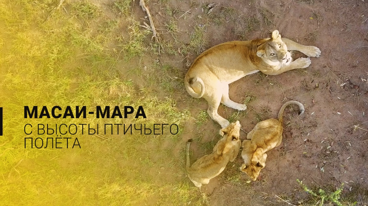 Масаи-Мара – сердце Африки