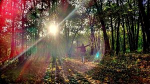 В НЕСКОЛЬКИХ ИЗМЕРЕНИЯХ ОДНОВРЕМЕННО  Как помочь  физ-му телу противостоять энергиям низких вибраций