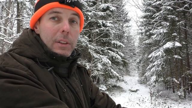 Охота на лося. Загонная охота по первому снегу.