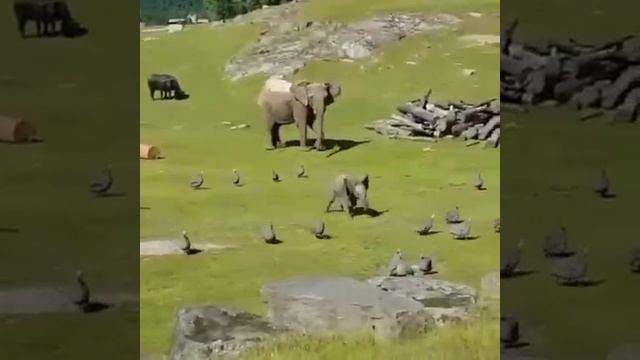 video_2024-03-30_01-42-52 (4)