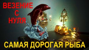 BLACK DESERT ONLINE | САМАЯ ДОРОГАЯ РЫБА ИГРЫ | ВЫЛОВ ЗА 2 ЧАСА НА ГЕРОЕ С НУЛЯ |  ИВЕНТ НА РЫБАЛКУ