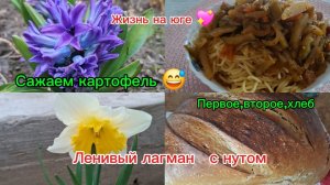 27-03-2026 Из Сибири на юг/МЕЧТЫ СБЫВАЮТСЯ/ЛАГМАН/ЛАПША/САЖАЕМ КАРТОФЕЛЬ/ХЛЕБ НА ЗАКВАСКЕ//