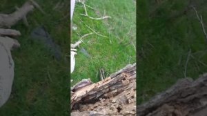 УБЕГАЕМ ОТ АЛКАШЕЙ