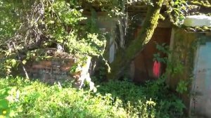 Настя помогает другу найти его друзей [get.gt]