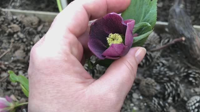 Огород . Весенние работы часть 3 (15..03.26)