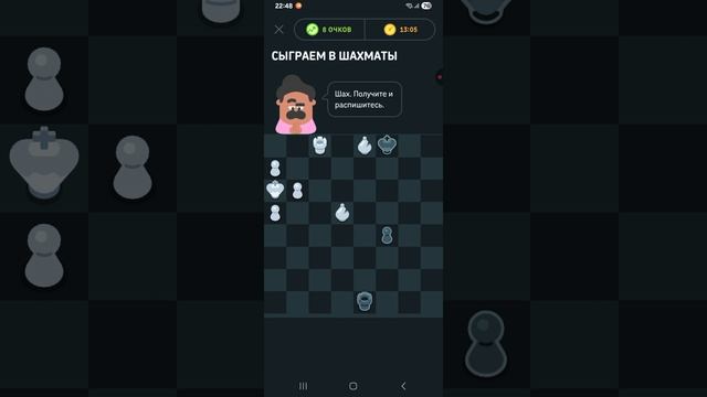 шахматы.