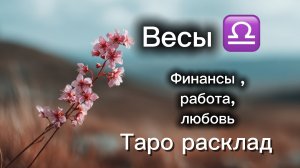 ВЕСЫ ‼️23 марта -5 апреля ТАРО расклад 💕три сферы