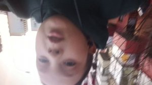 Коля, coia, coia