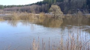 Болва разлив2026март