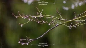 Новый фильм " Весенний дождь" 🌱2026