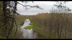 Природа Селигера!  Весна 2020 года!