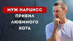 Как нарциссы относятся к домашним животным